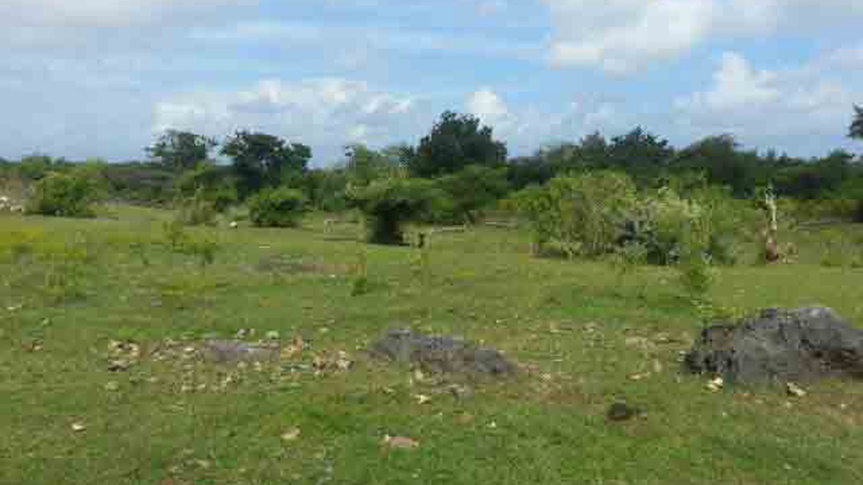 Land At Kutuh Ungasan