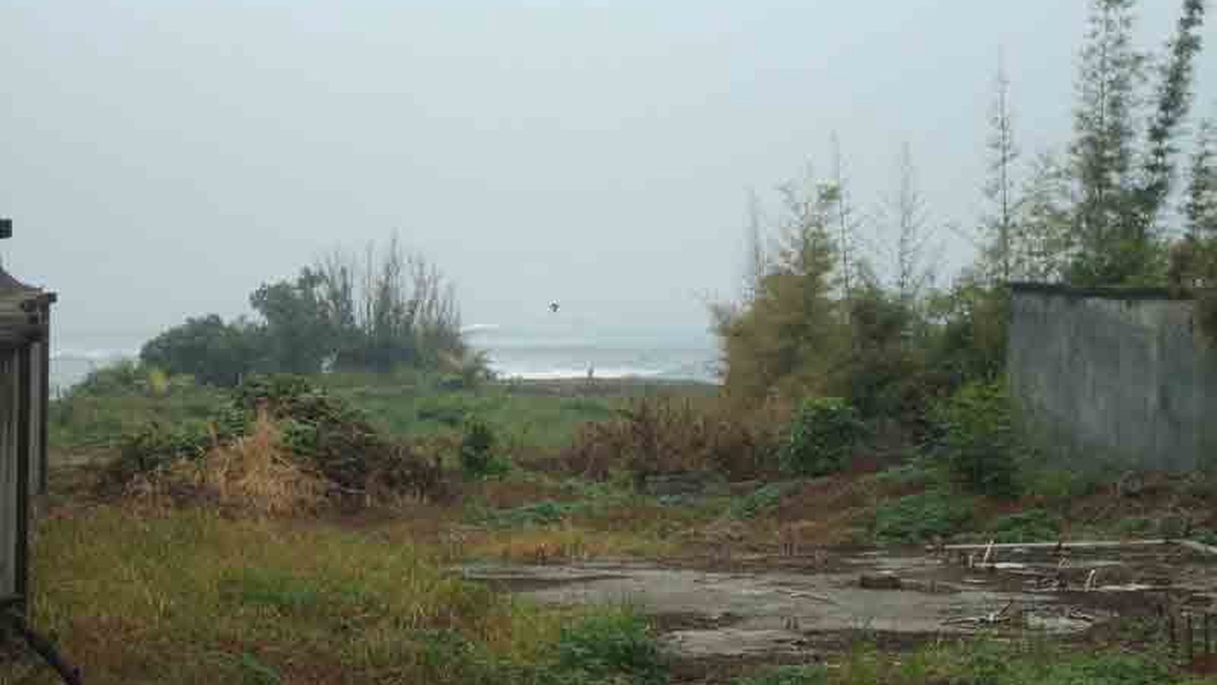 Beach Front Land At Canggu