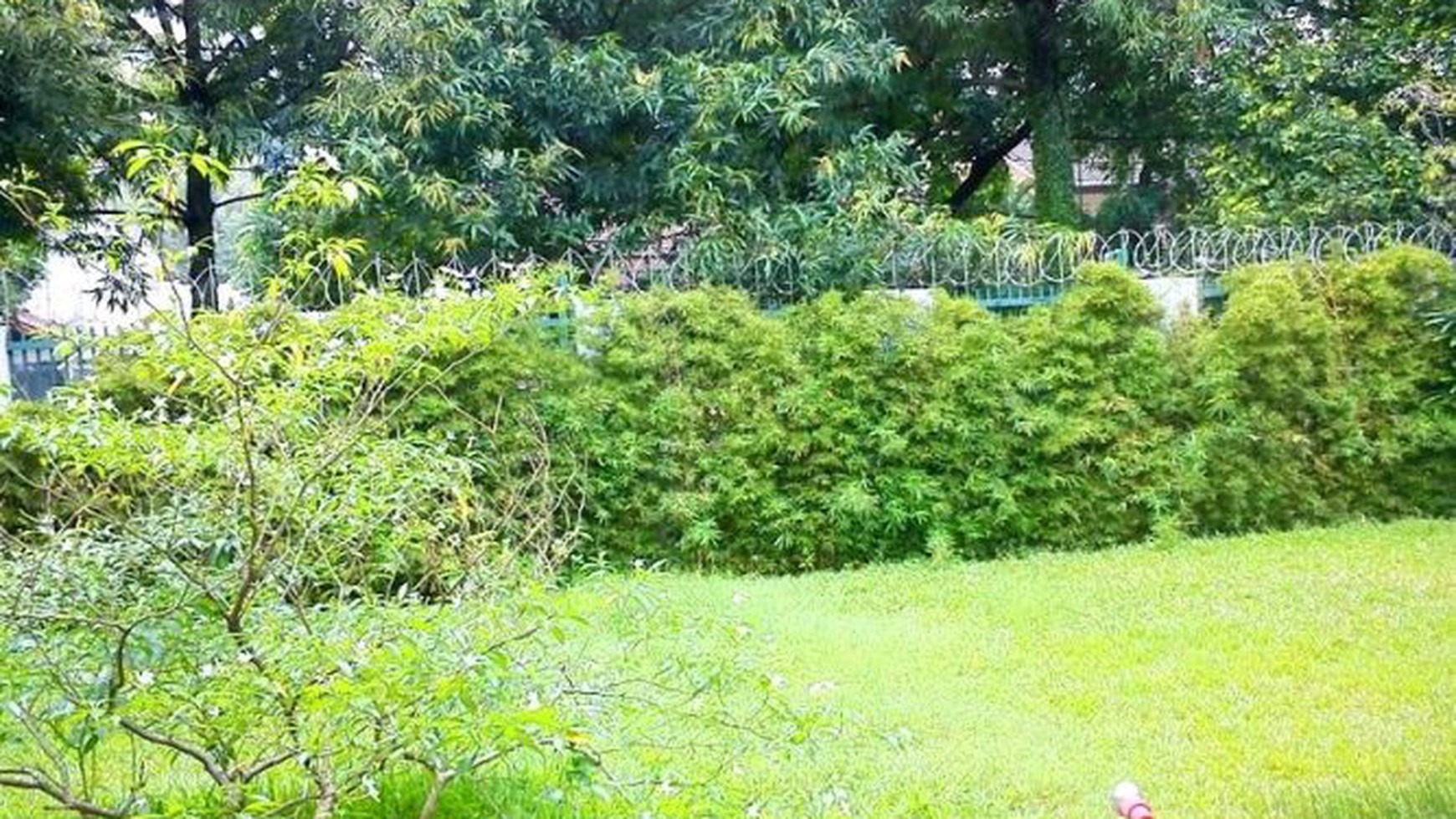 Modern Tropical style...Big garden & Pool...Quiet area...