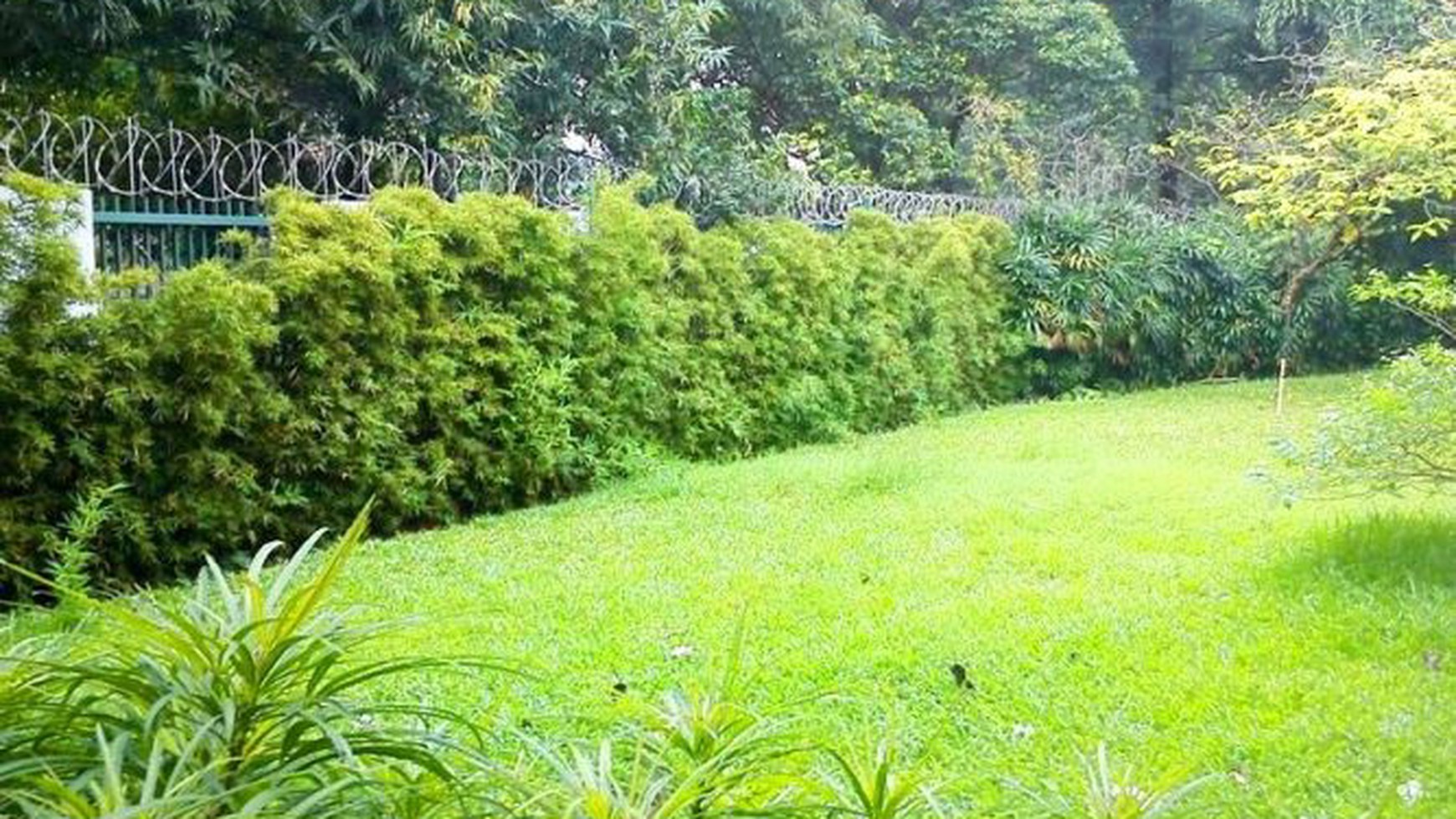 Modern Tropical style...Big garden & Pool...Quiet area...