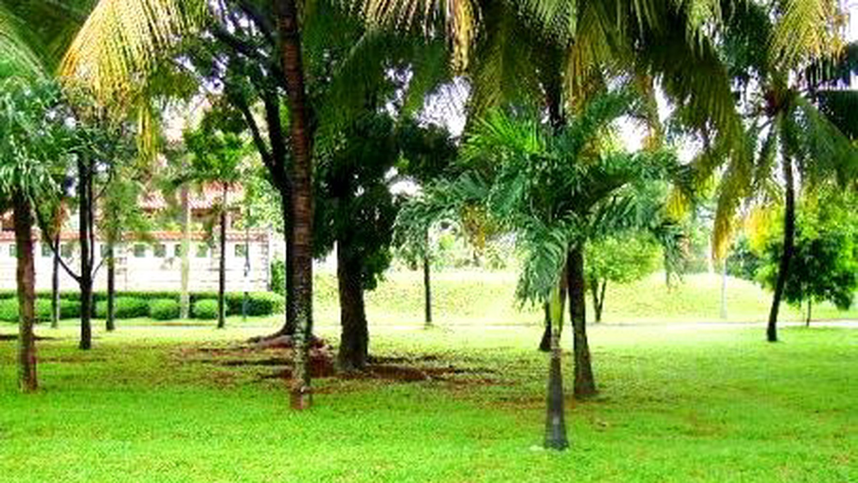 Newly...Classic Style...Quiet Area...Nice Garden & Pool..