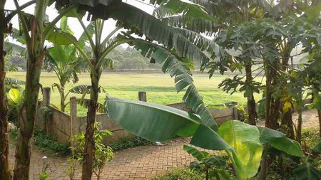 Tanah di Parigi, Jombang Raya