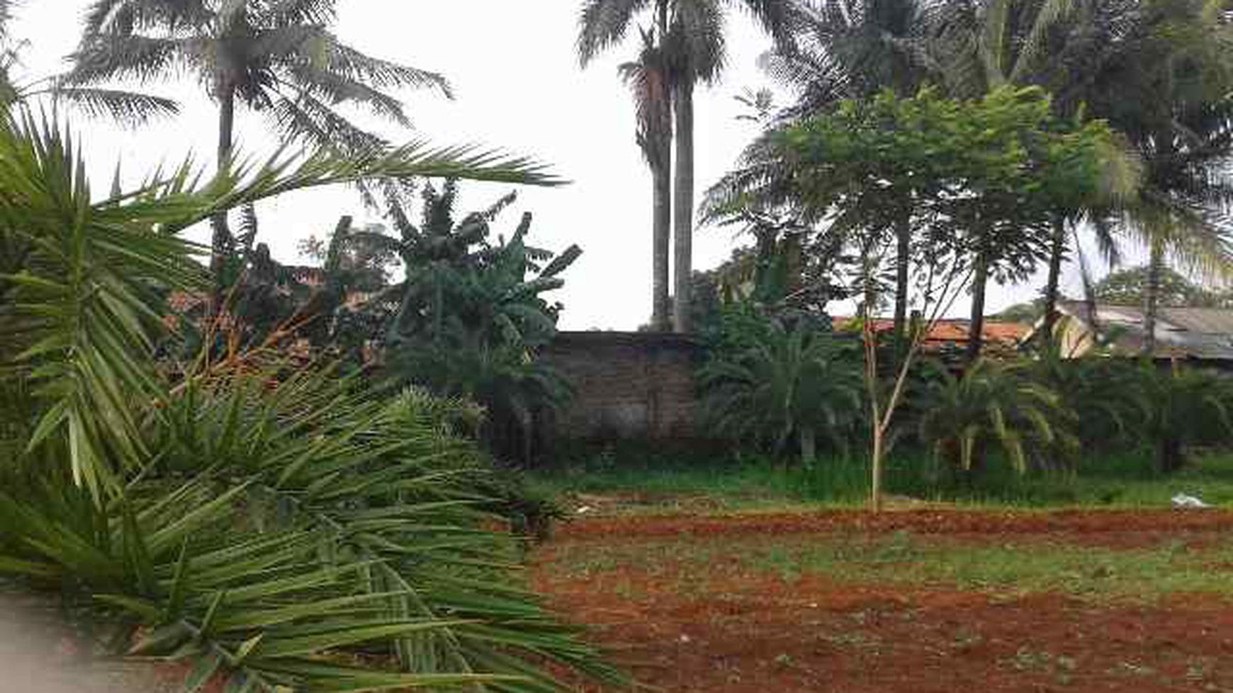 Tanah di Parigi, Jombang Raya