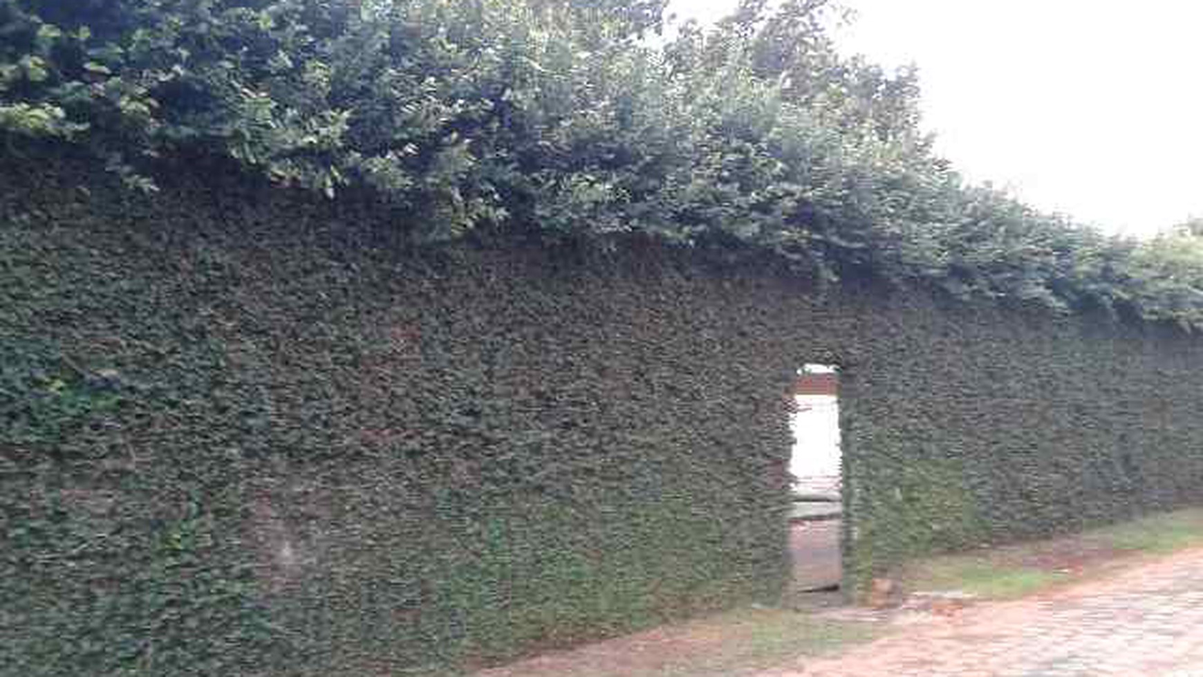 Tanah di Parigi, Jombang Raya