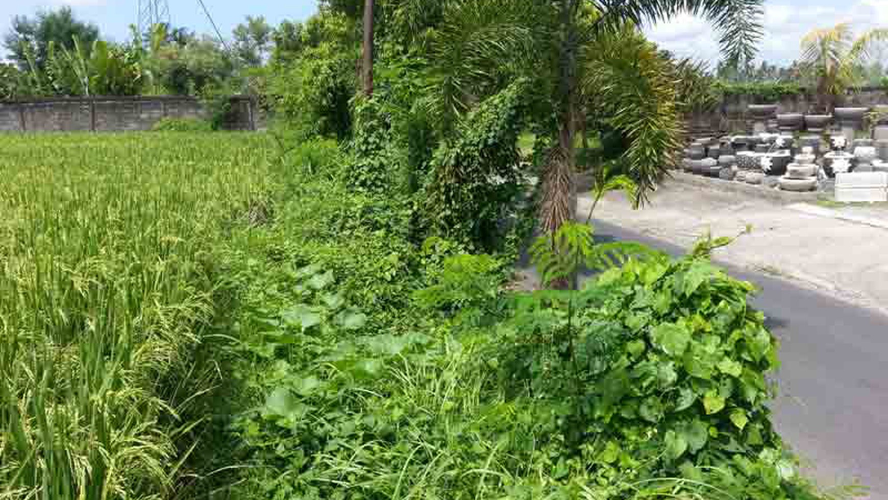 Land At Ubud Area