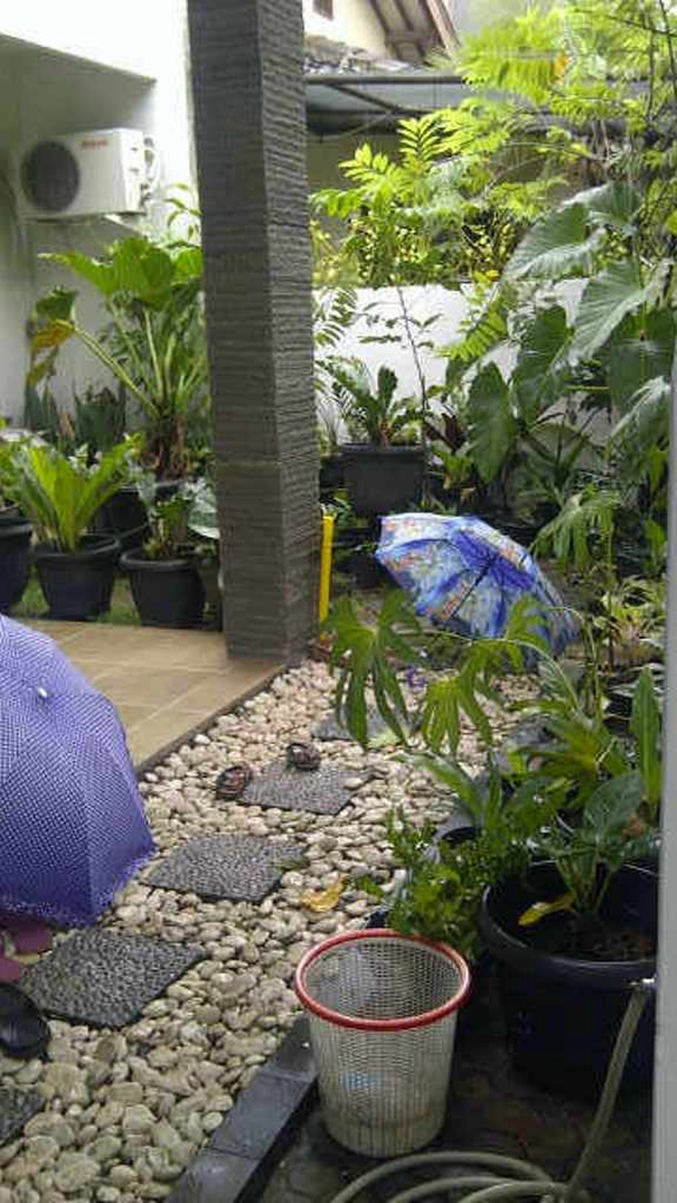 Rumah strategis,bagus,siap huni di kuricang sektor 3