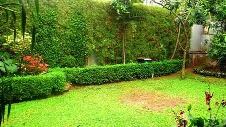 Very Nice House...Nice Garden & Pool...Close to Senayan/Sudirman.