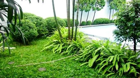 Big Opportunity Low Price... Nice House... Big Pool & Garden... Very Quiet area..Close to Senayan