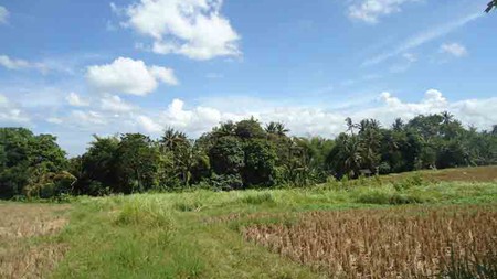 Land At Canggu Area