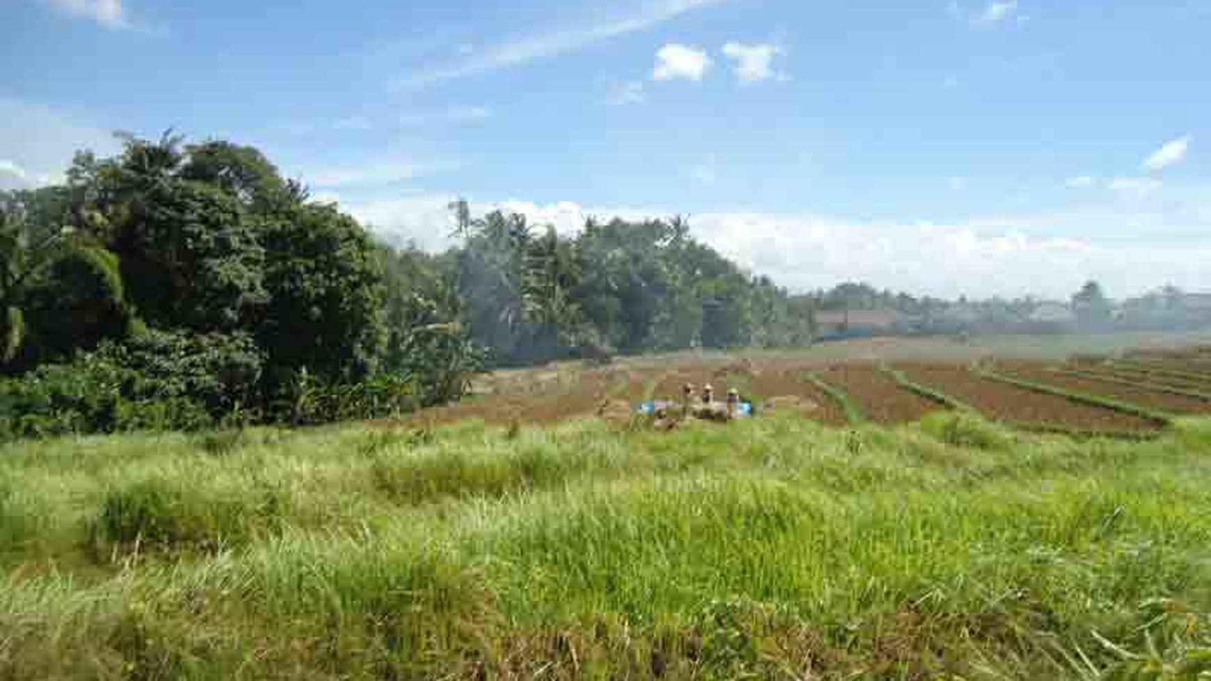 Land At Canggu Area