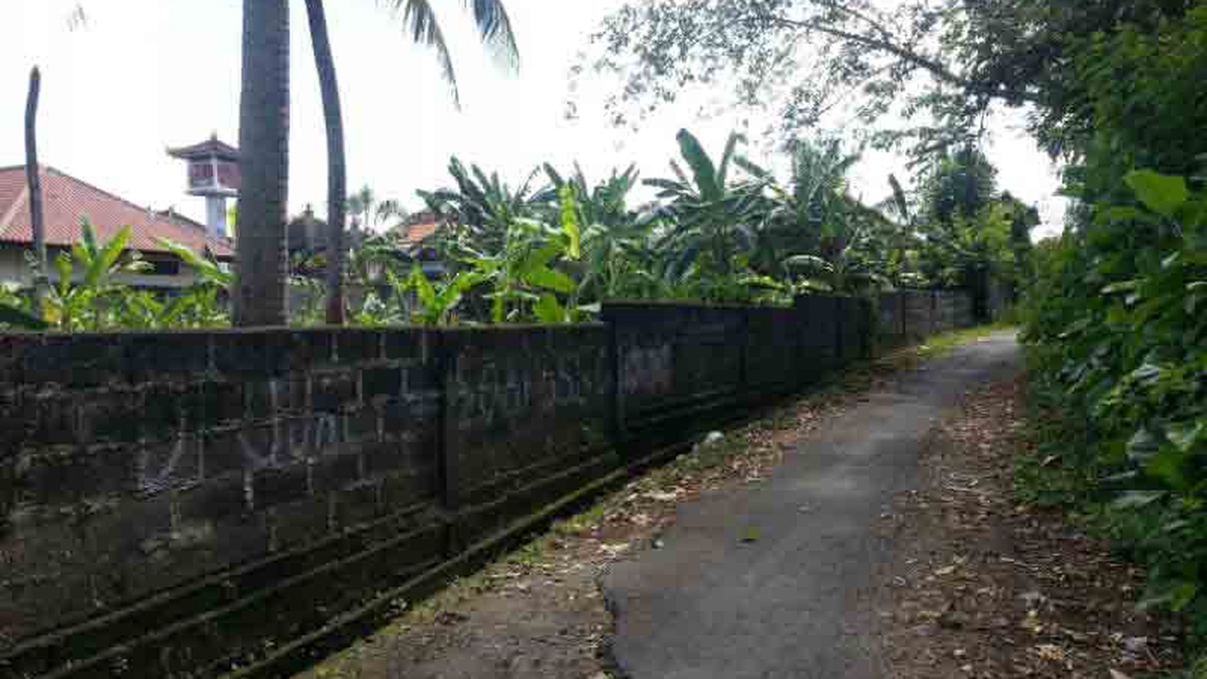 Beach Front Land At Seseh