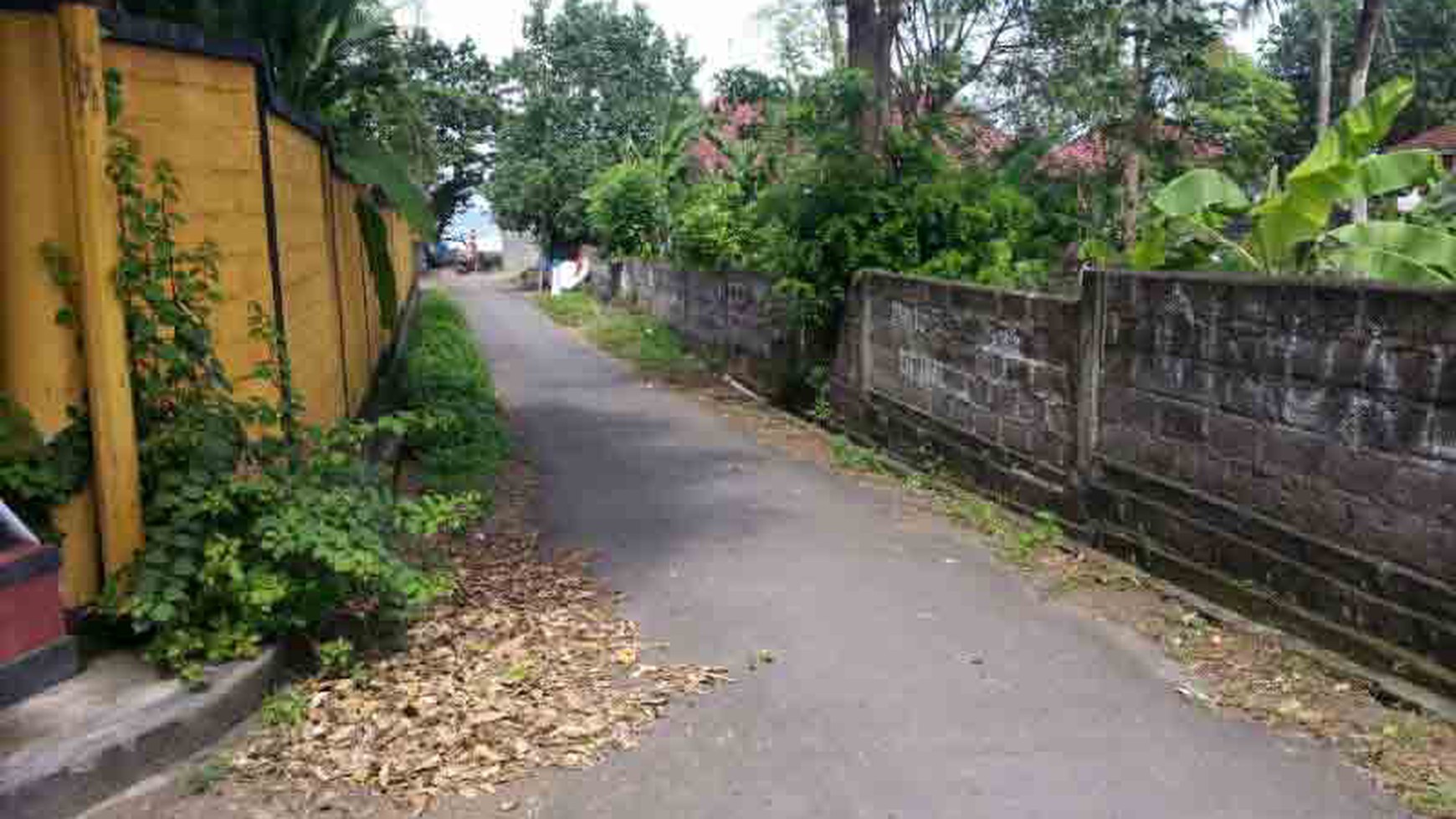 Beach Front Land At Seseh