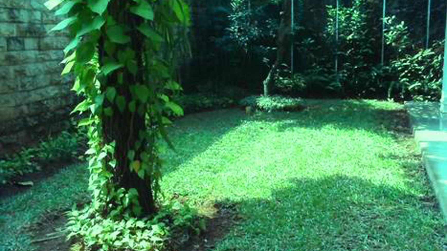 Nice House......Quiet area....Park View...Close to Sudirman & Kemang...