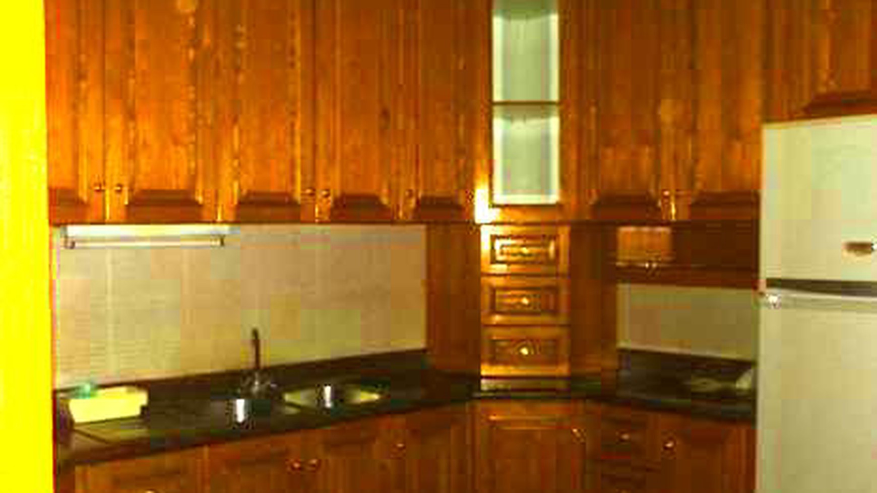 Nice House......Quiet area....Park View...Close to Sudirman & Kemang...