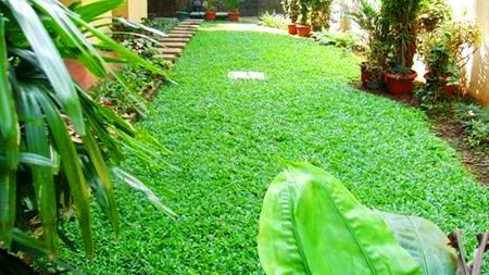 Quiet area...Classic Style...Nice Garden & Pool... Close to Sudirman...