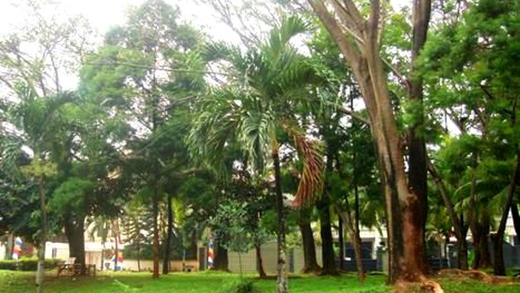 Very Nice...Classics..Quiet & secure area...Park View...