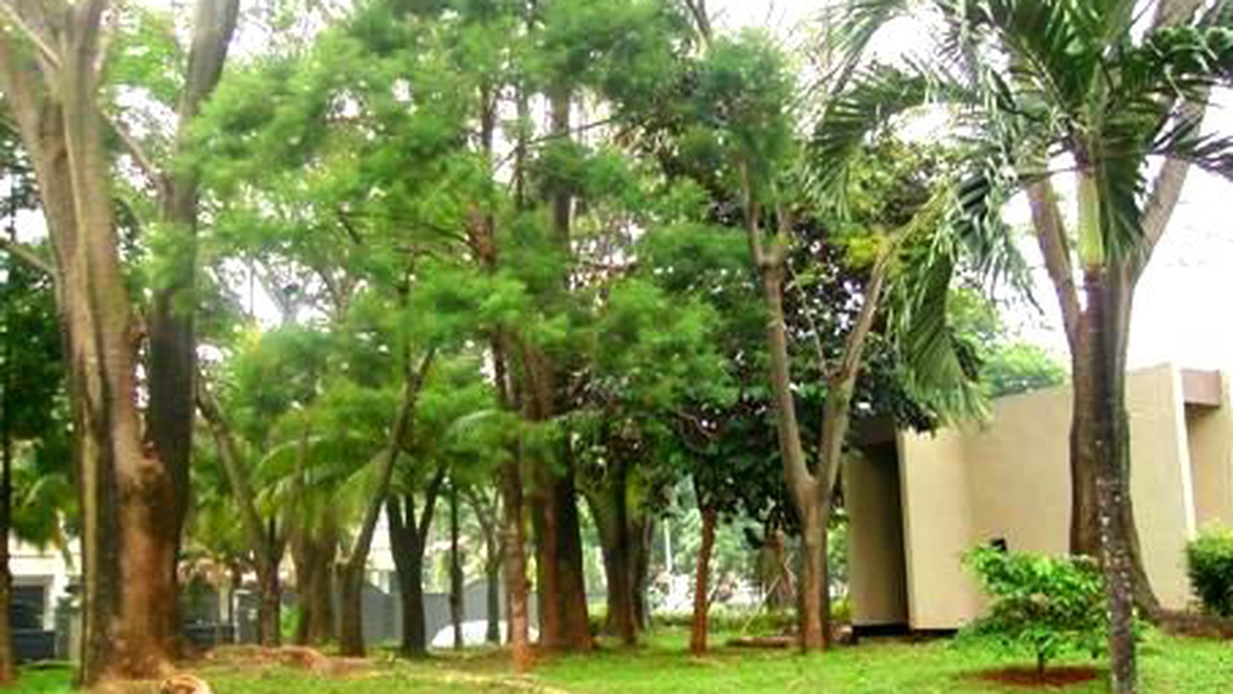 Very Nice...Classics..Quiet & secure area...Park View...