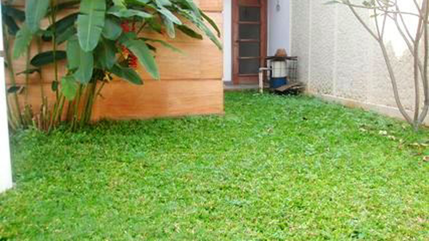 Nice house..Nice Garden...Nice area..Nice Price...