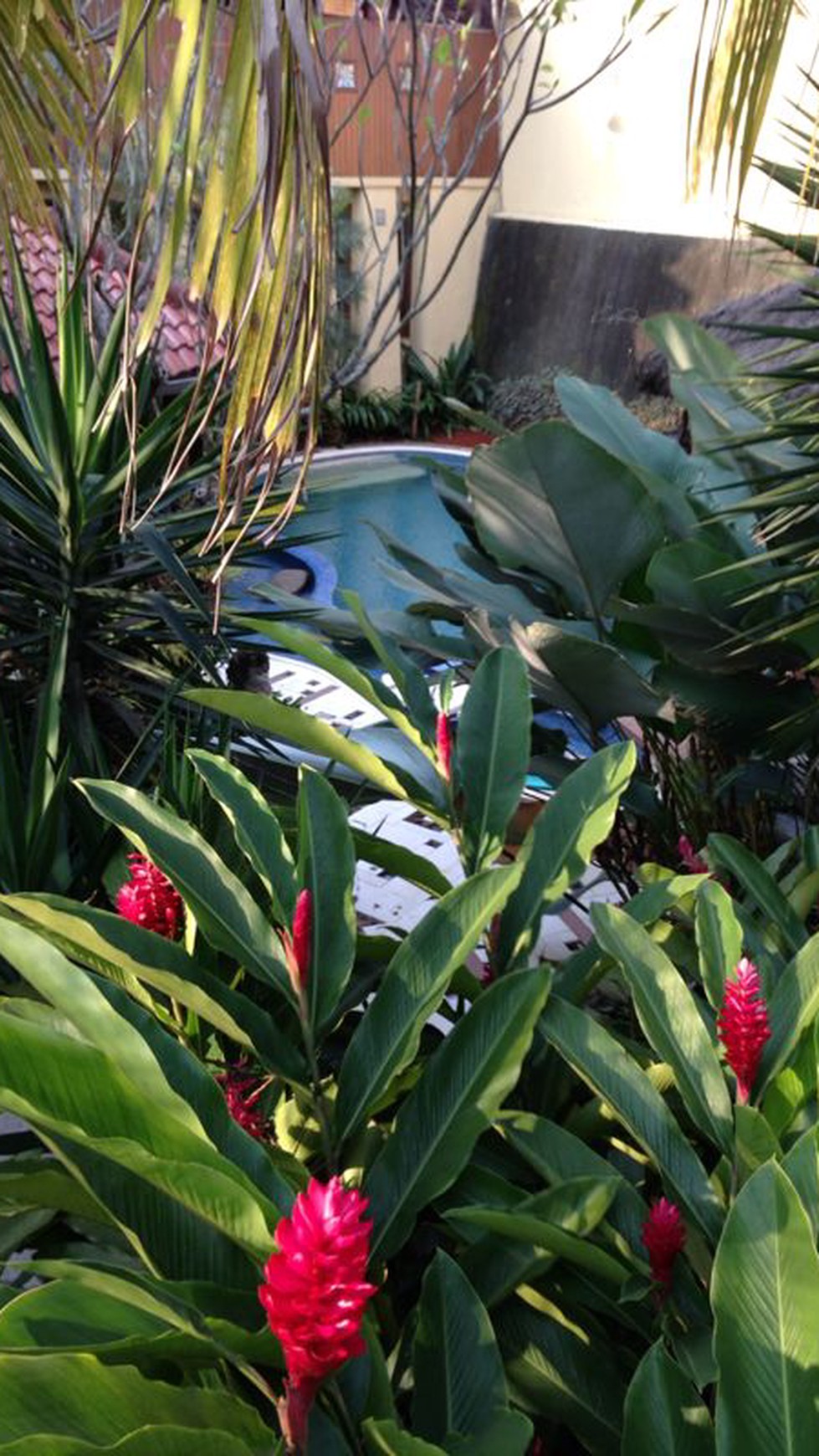 SALE, BINTARO SEKTOR 8 #EU