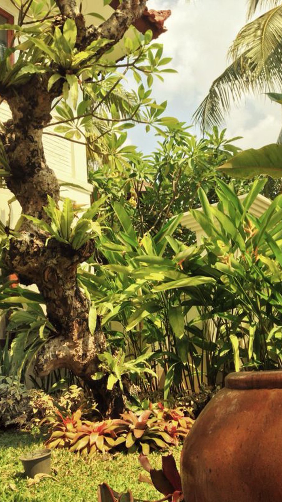 SALE, BINTARO SEKTOR 8 #EU