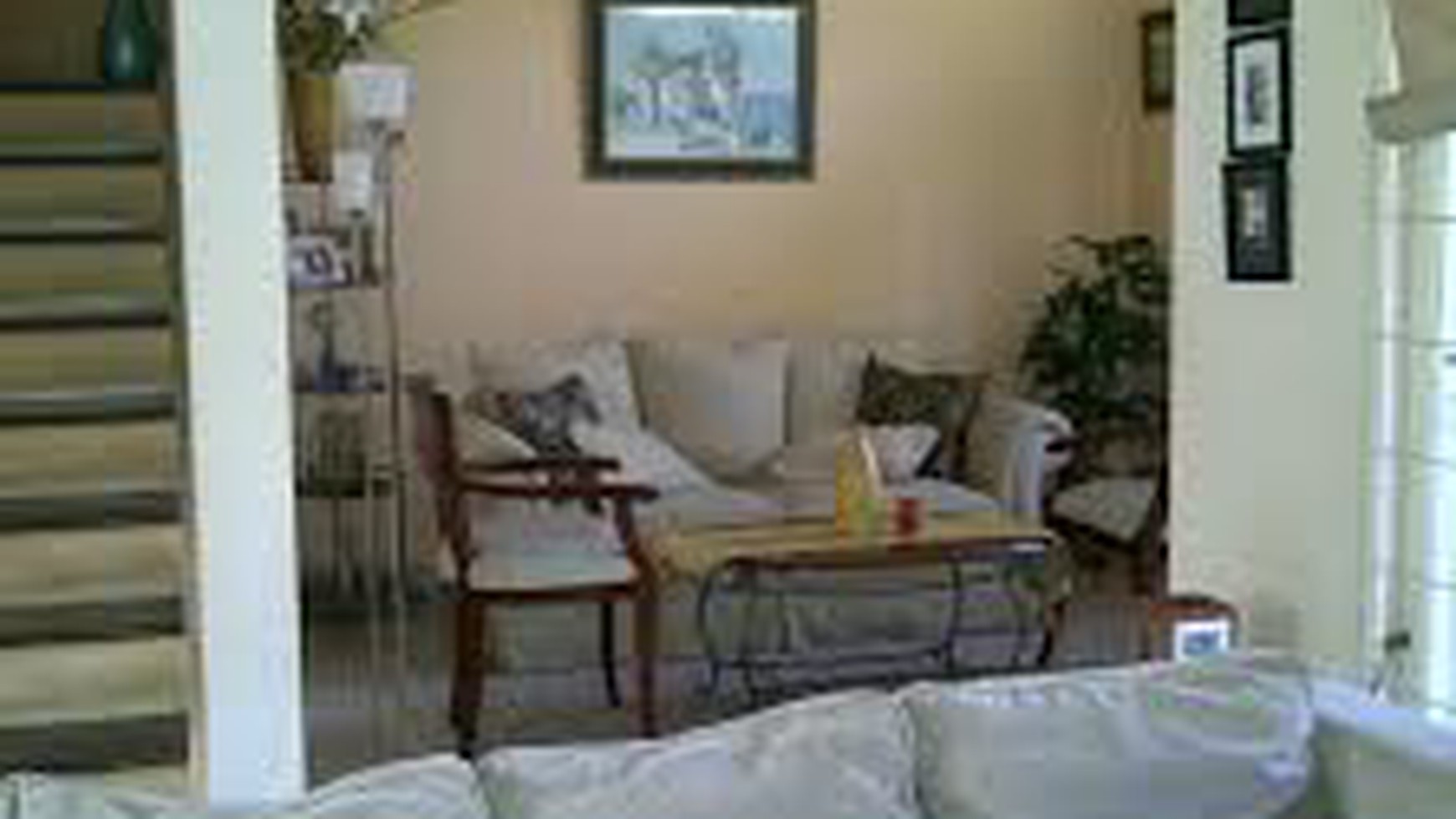 Rumah Hijau  & Asri  di Bintaro 2