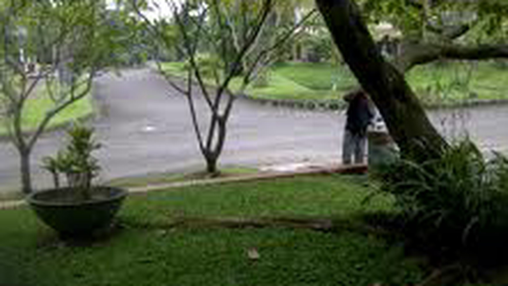 Rumah Hijau  & Asri  di Bintaro 2