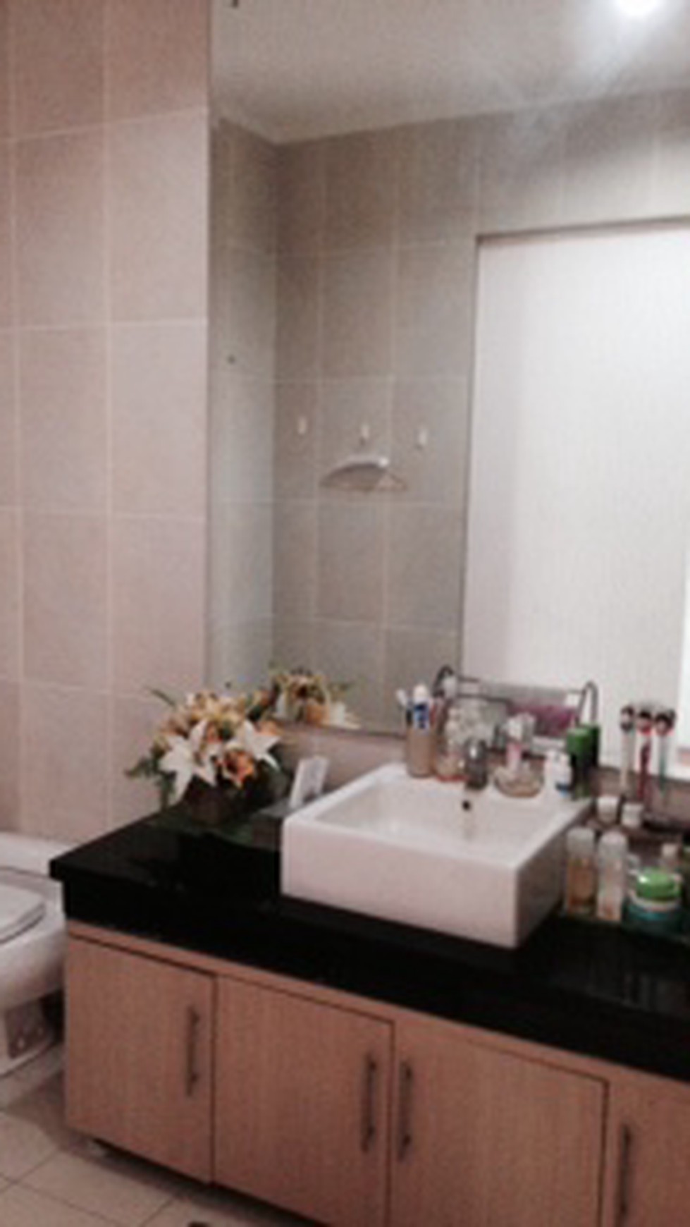 Dijual rumah Kebayoran view