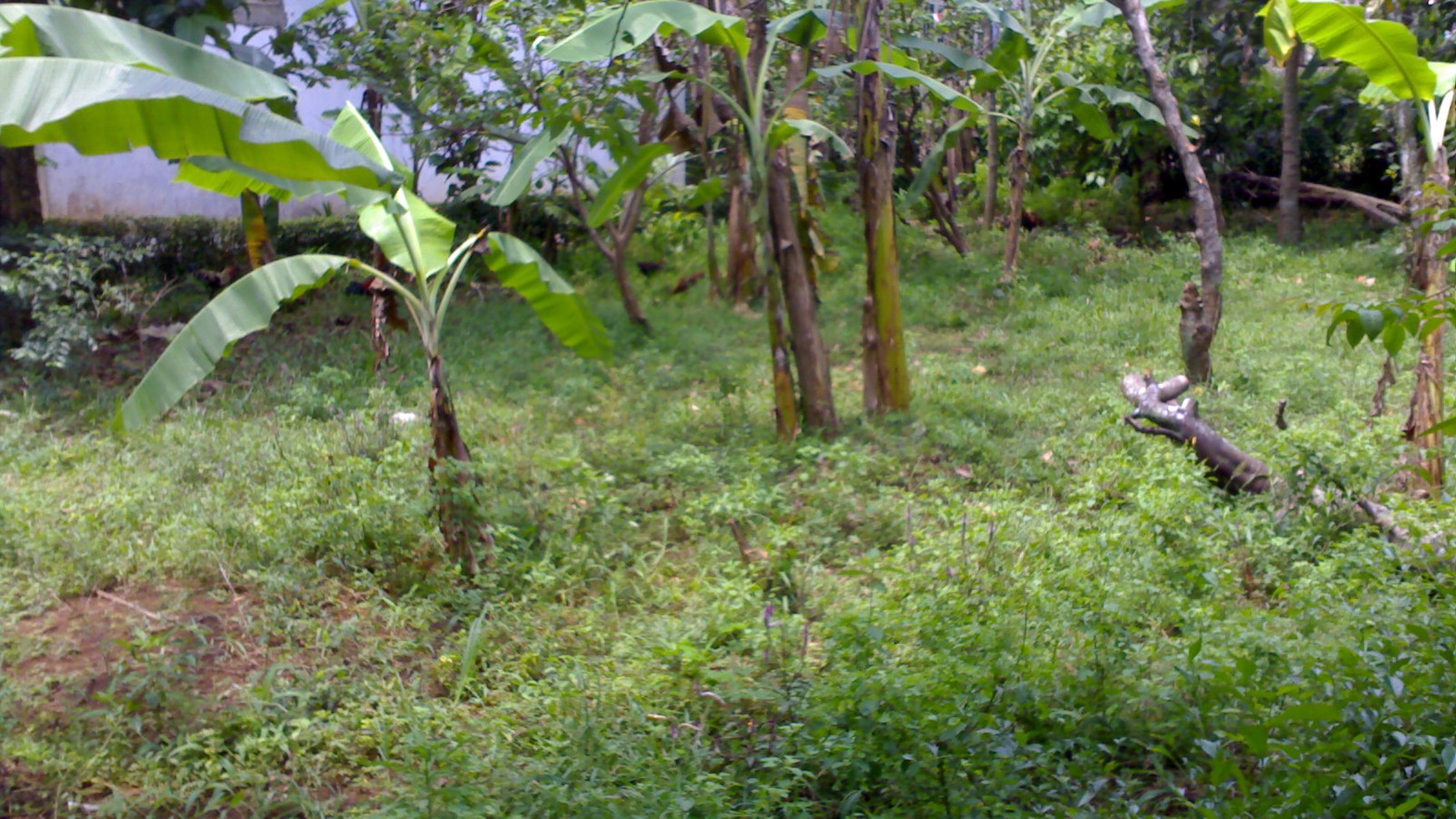 Deplu Raya...Pinggir Jalan...Strategis...Cocok untuk Usaha...