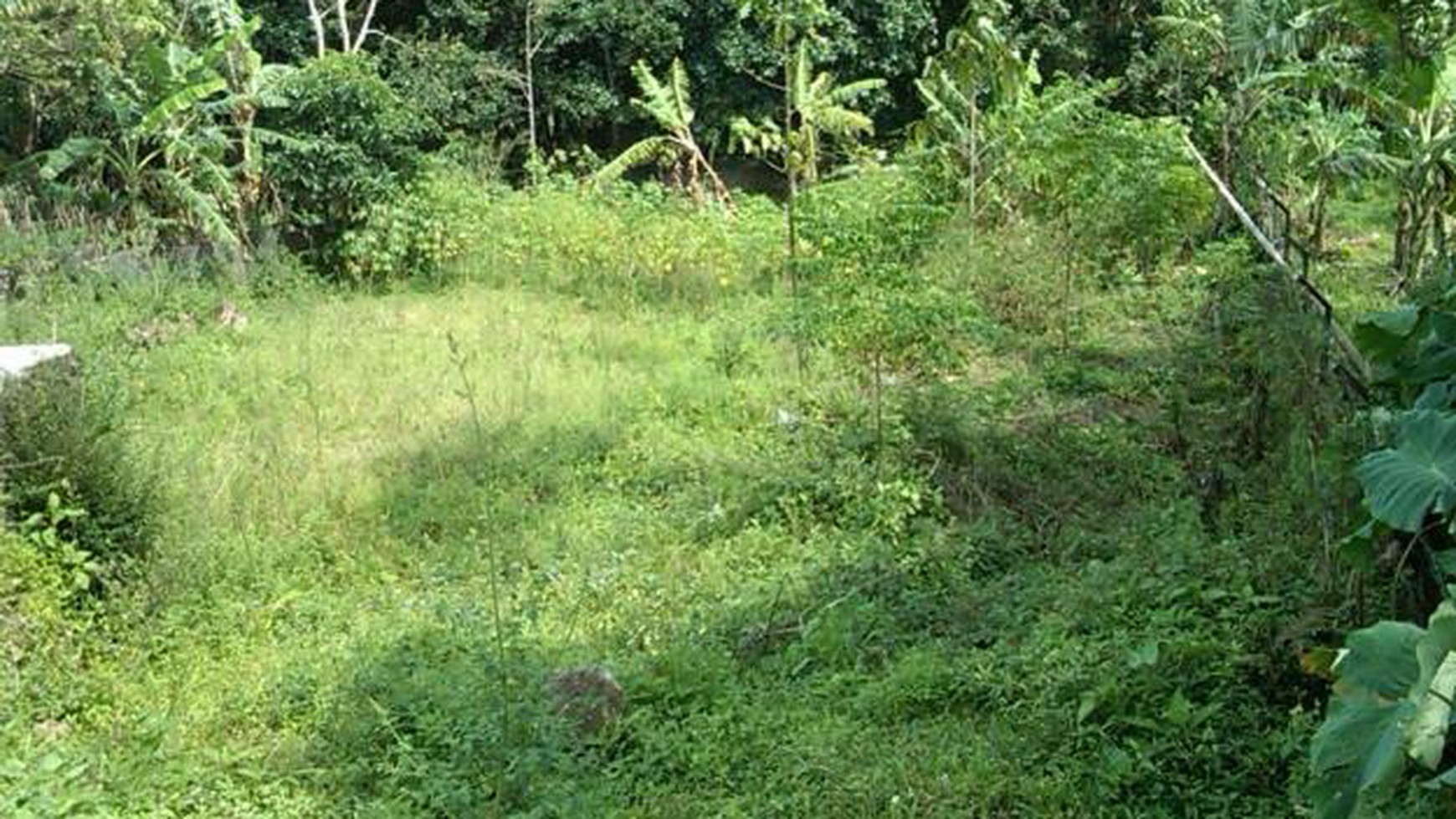 Deplu Raya...Pinggir Jalan...Strategis...Cocok untuk Usaha...