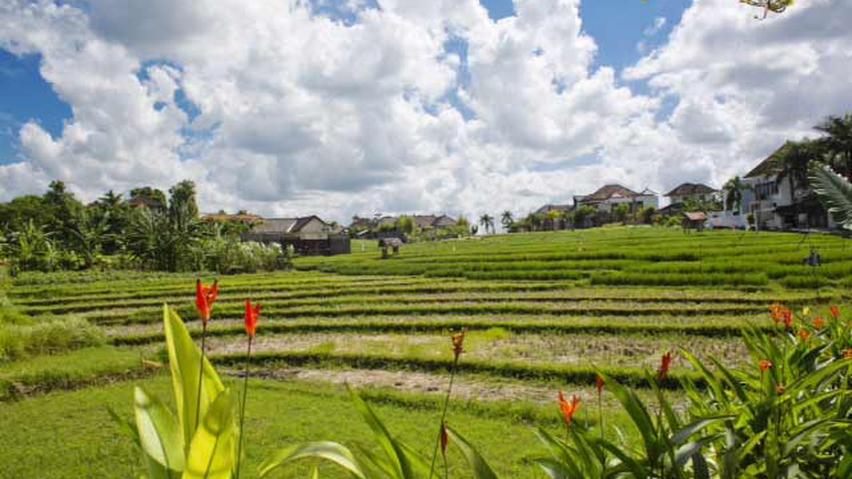 Rice Field View Villa At Umalas