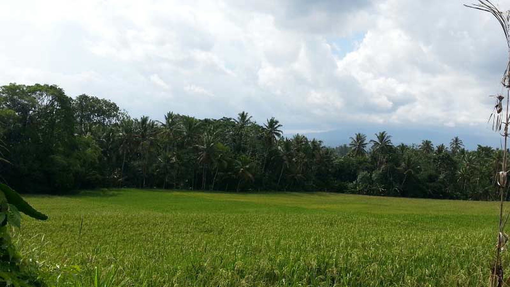 Land At Tabanan Area