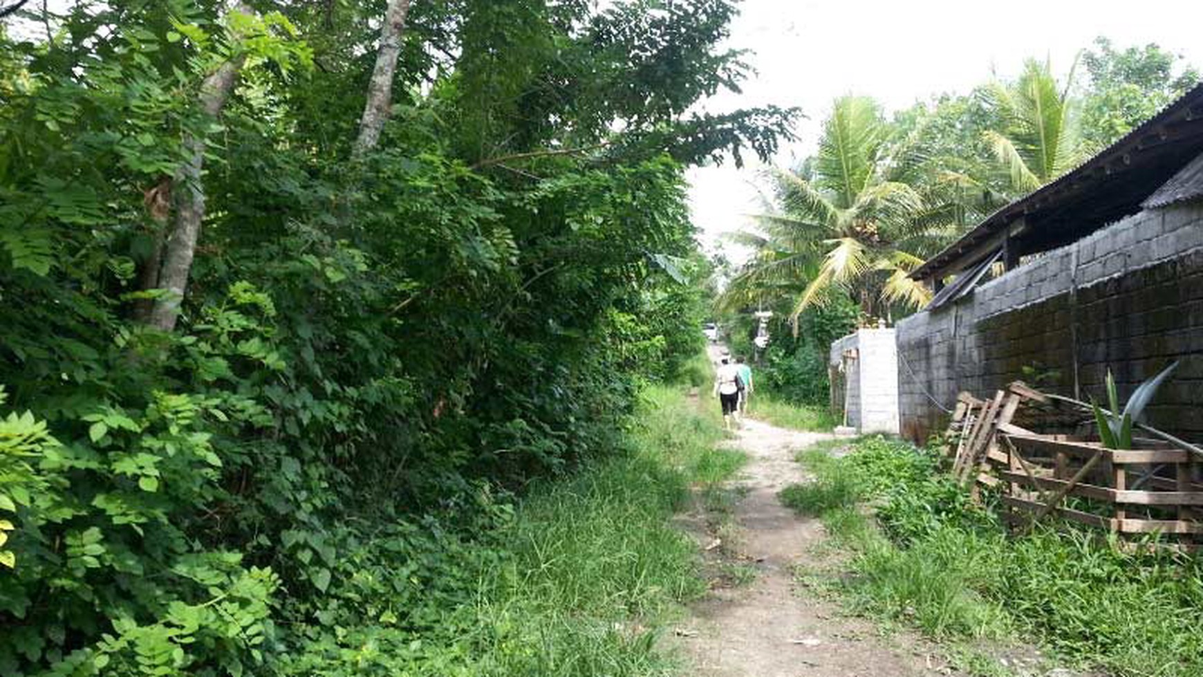 Land At Tabanan Area