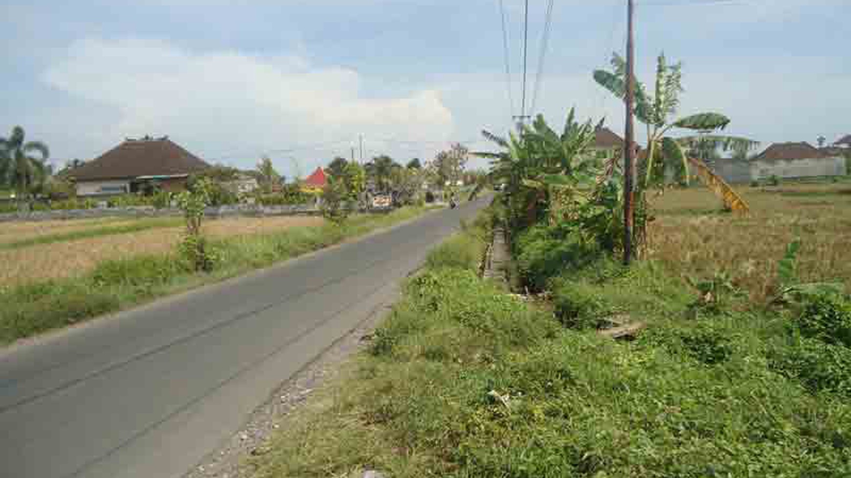 Road Side Land At Munggu