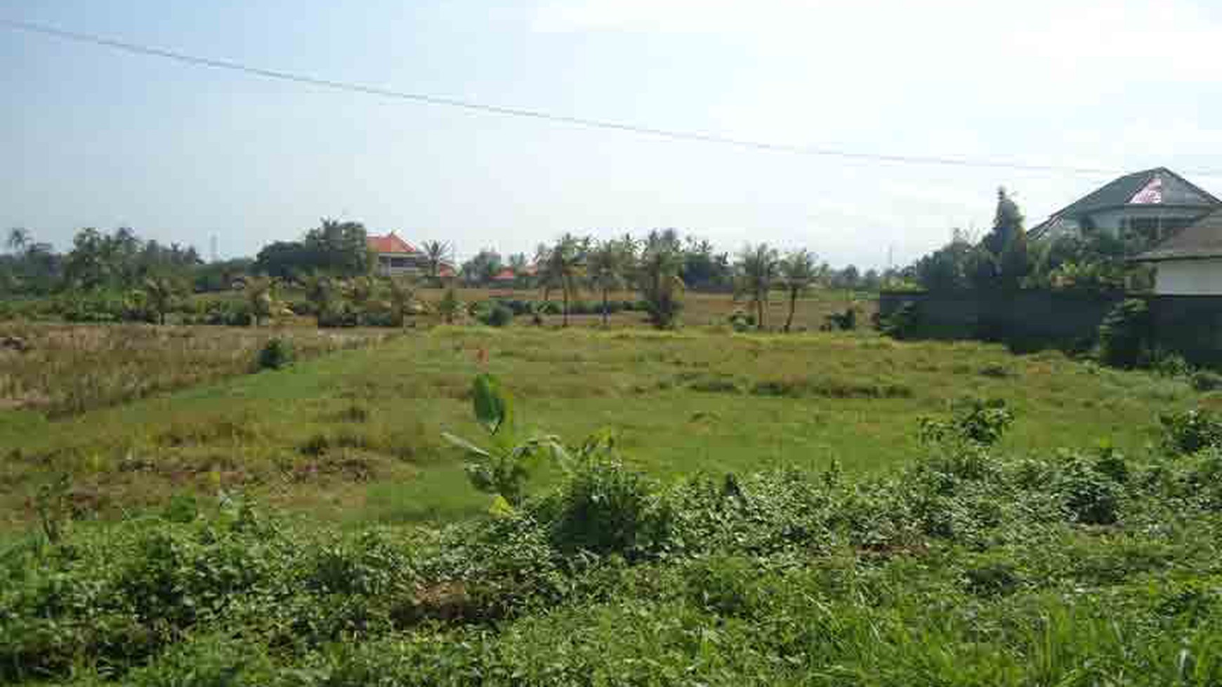 Road Side Land At Munggu