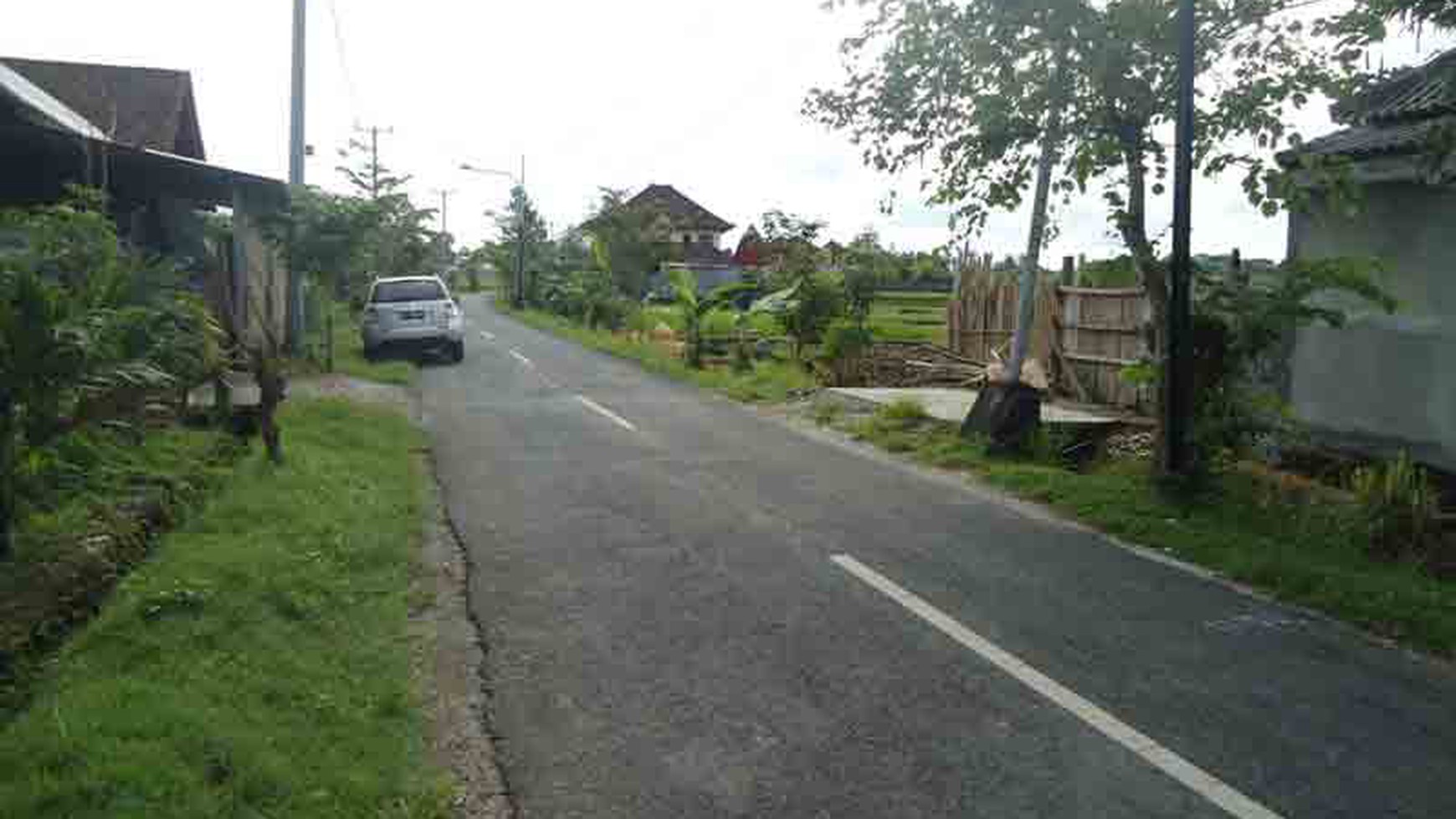 Land At Tumbak Bayuh Canggu