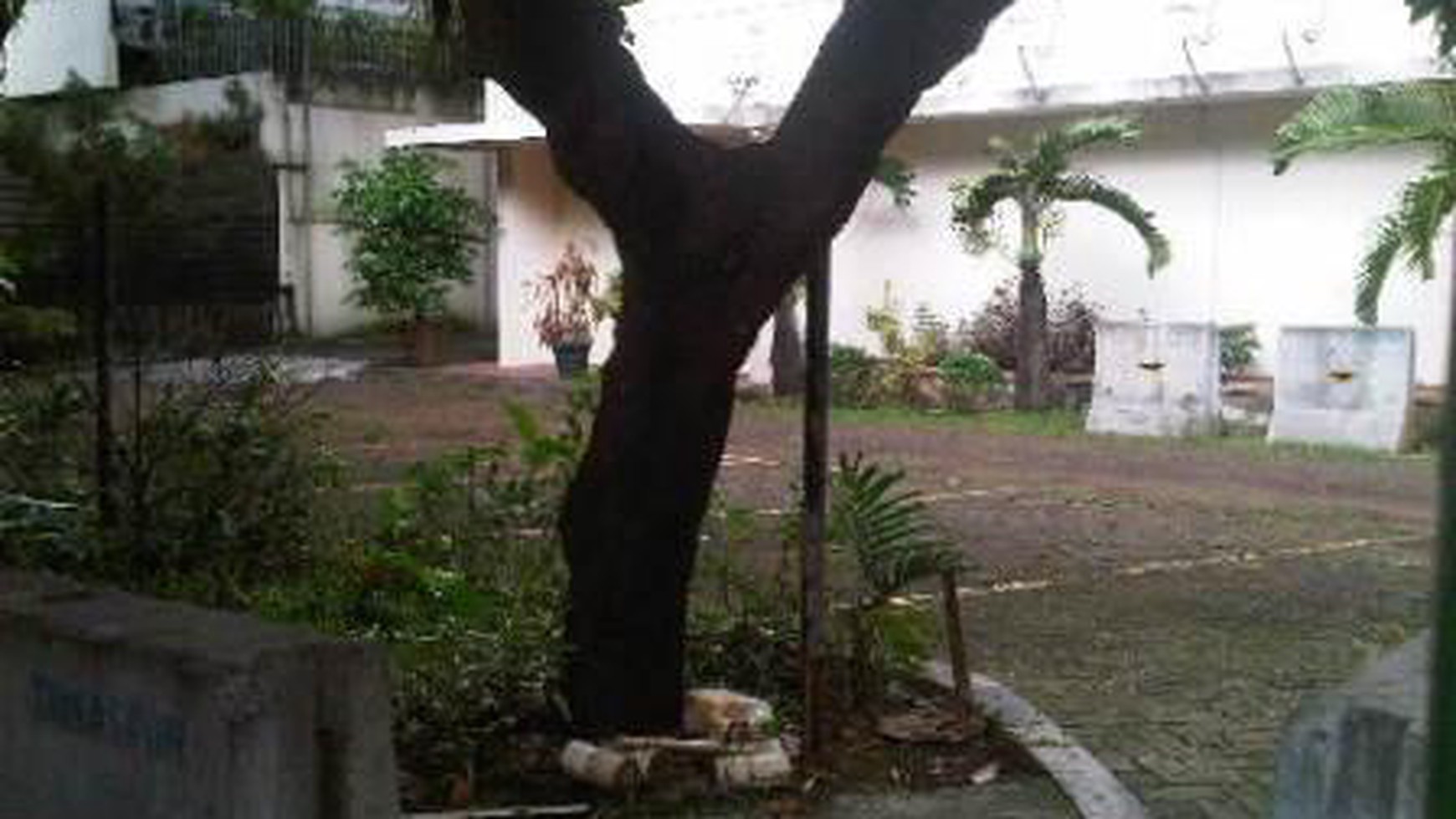 Rumah di Menteng Disewakan