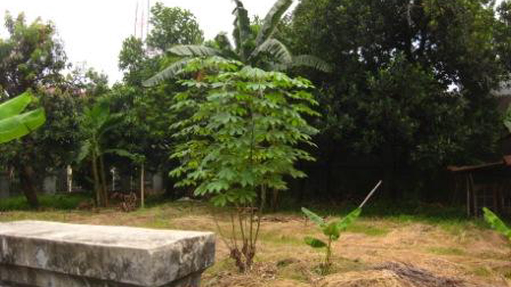 Dijual Kavling Di Joglo