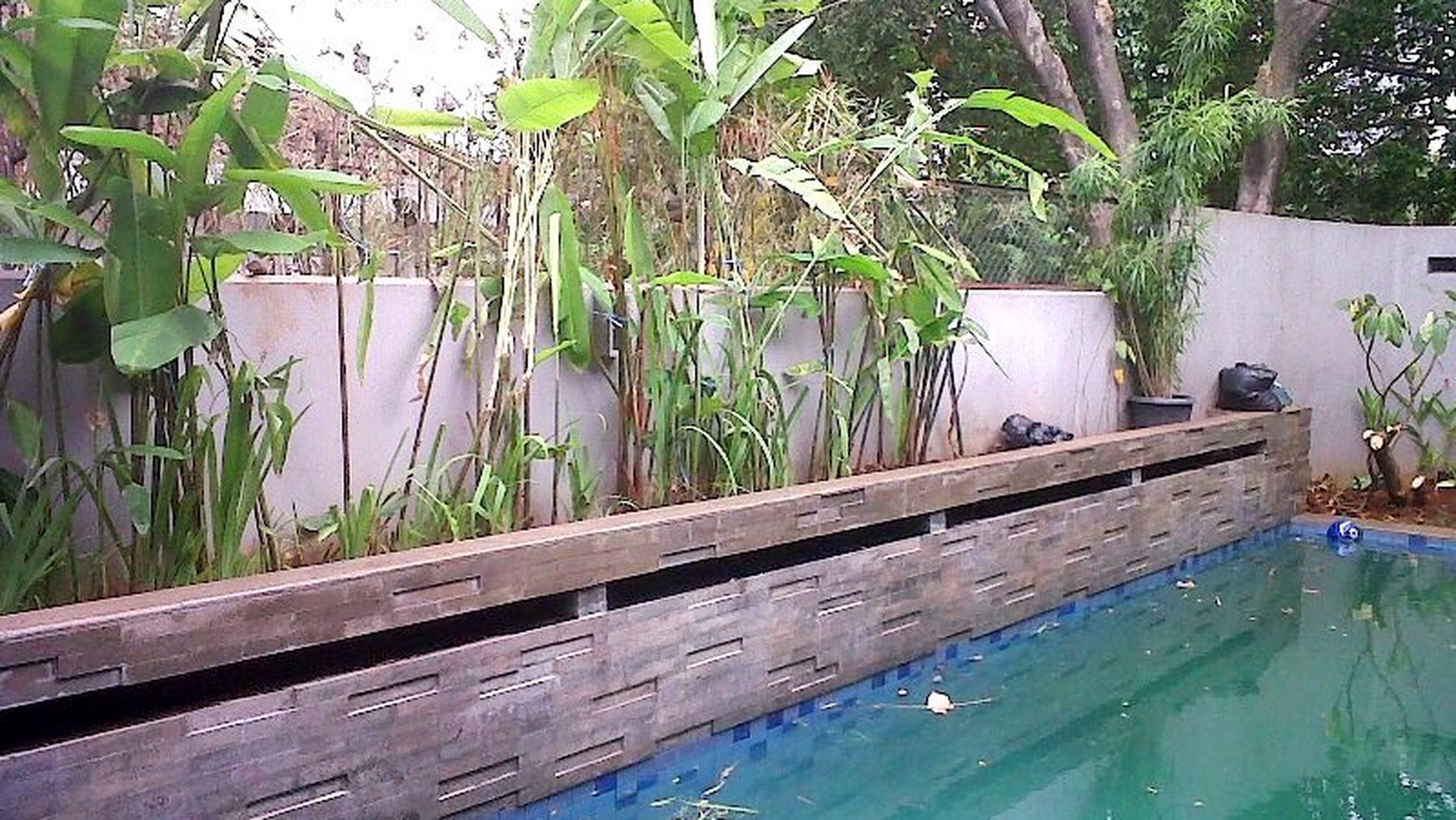 Minimalist house... Nice garden & Pool... Close to Sudirman...