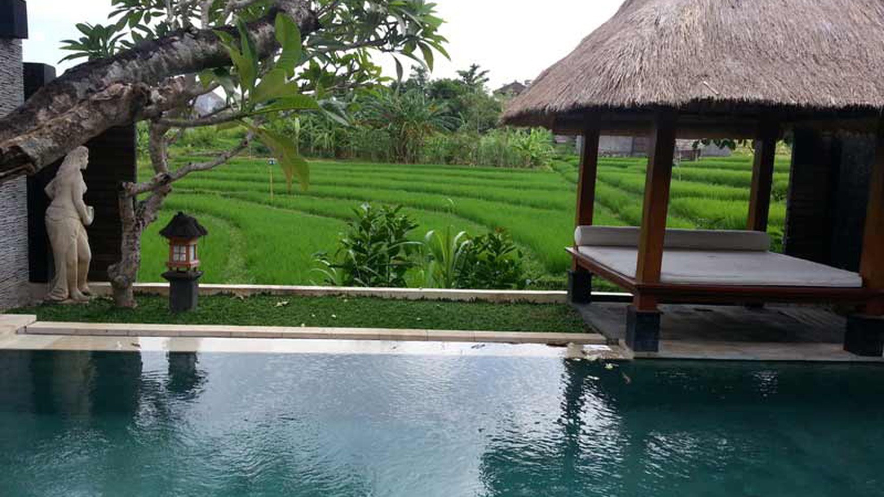 Rice Field View Villa At Umalas Complex