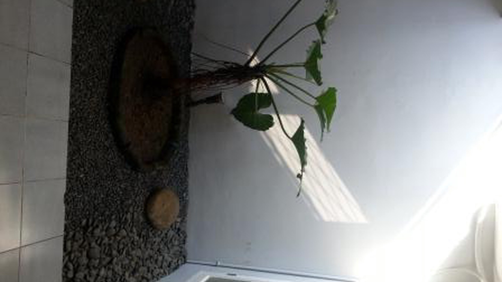 Dijual Rumah Di Bintaro