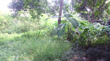 Dijual tanah daerah pesanggrahan#IK