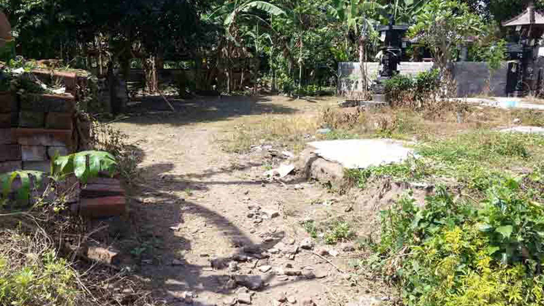 Land At Tumbak Bayuh Canggu