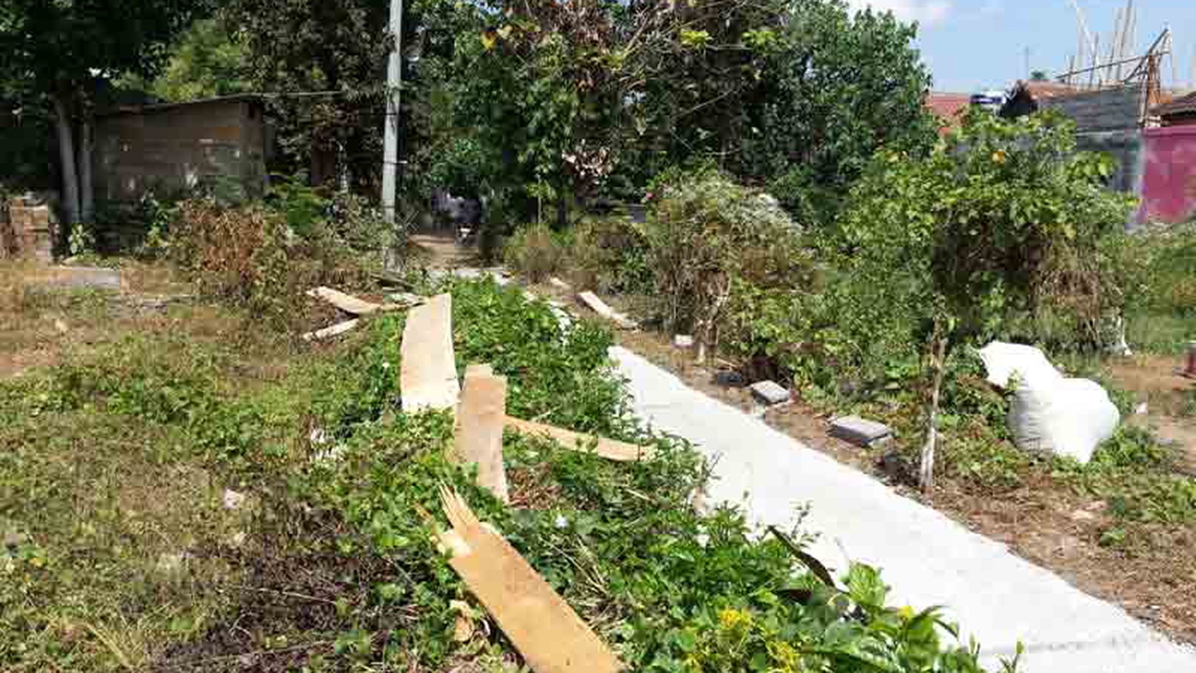 Land At Tumbak Bayuh Canggu