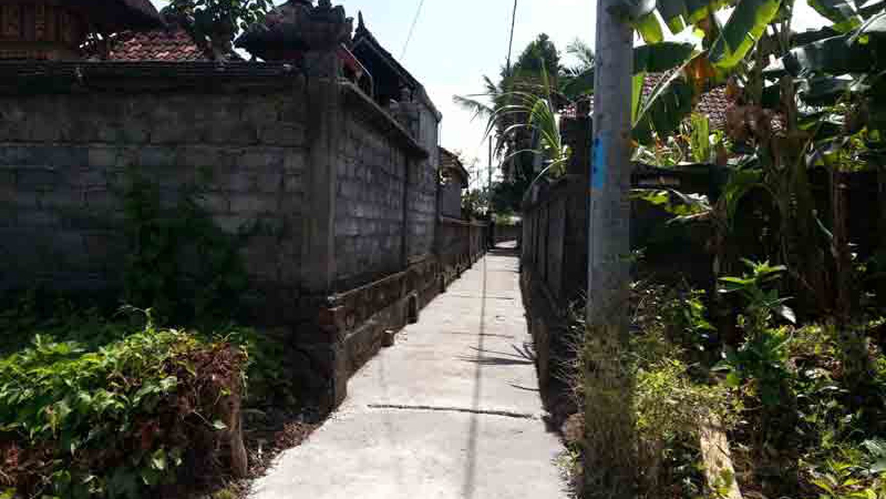 Land At Tumbak Bayuh Canggu