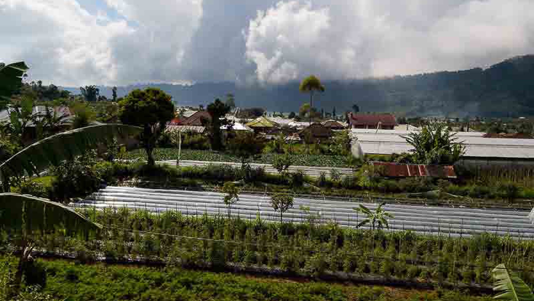 Lake & Mountain View Villa At Bedugul