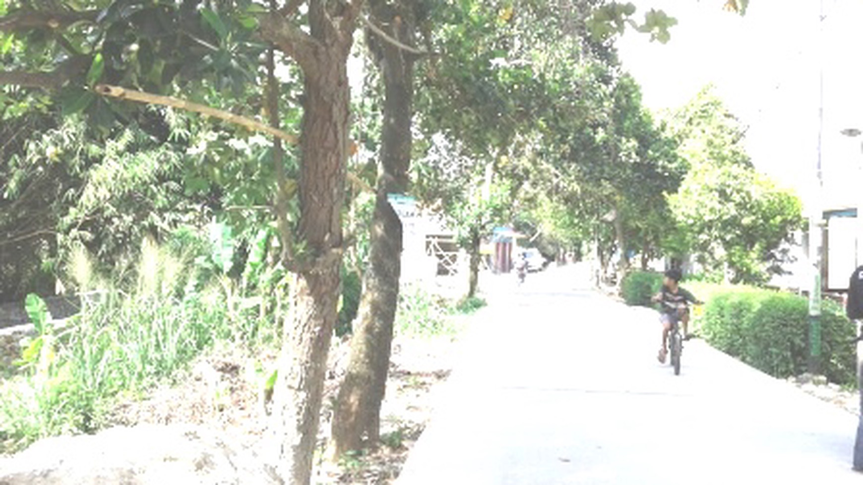 Tanah Disewakan di Pamulang