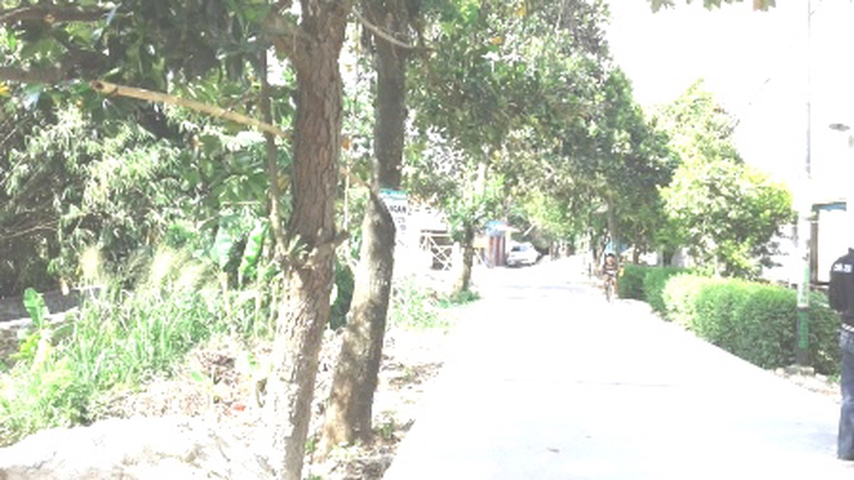 Tanah Disewakan di Pamulang
