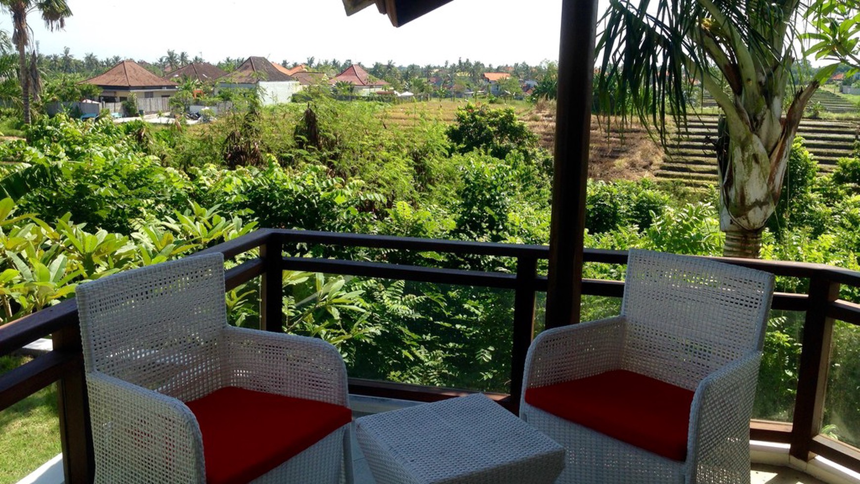 Exclusive Villa 4 Bedrooms in Canggu Fully Furnish Rice Field View