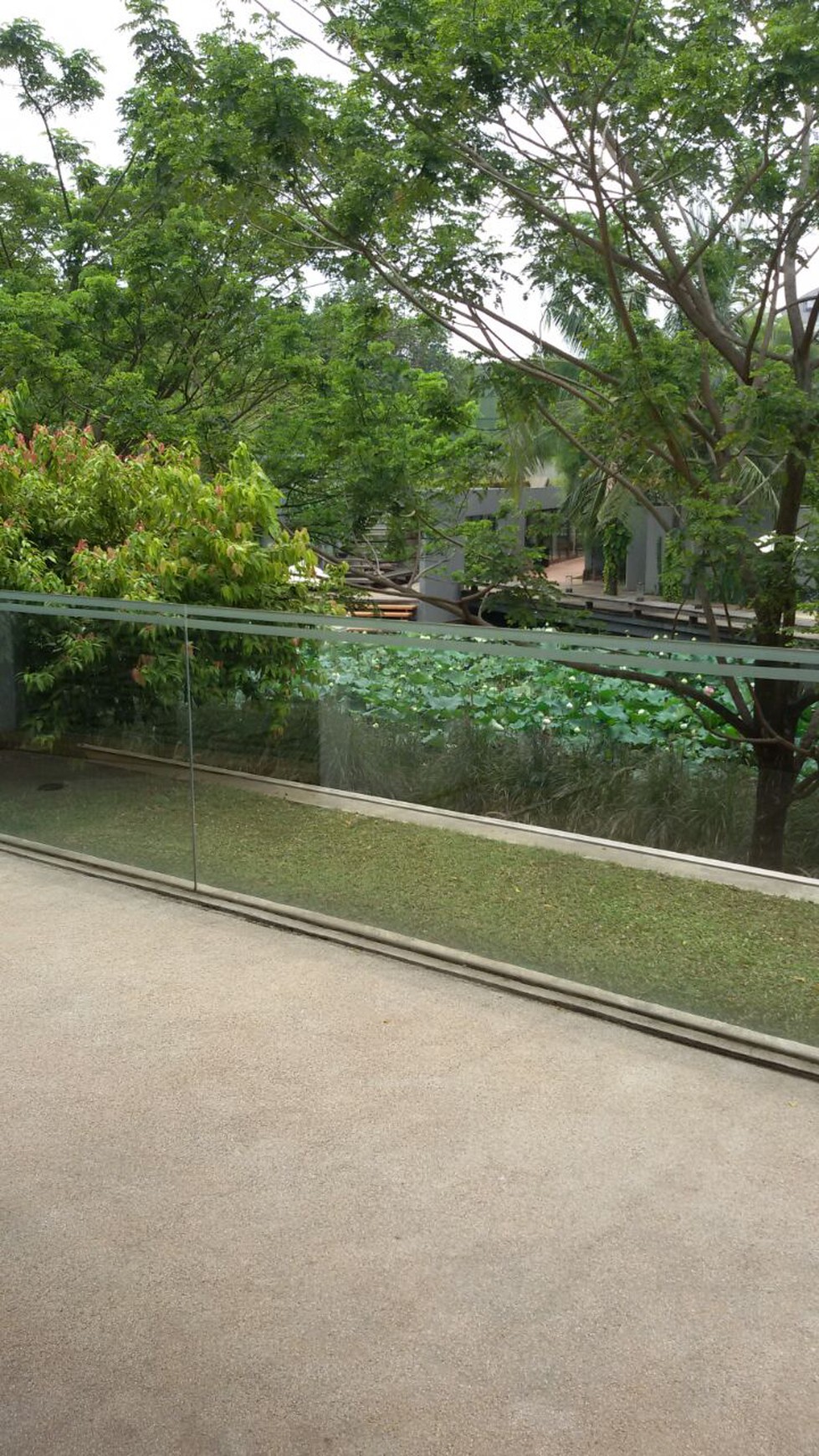 Rumah Pasar Minggu Jakarta selatan $ 5000 dolar !!!