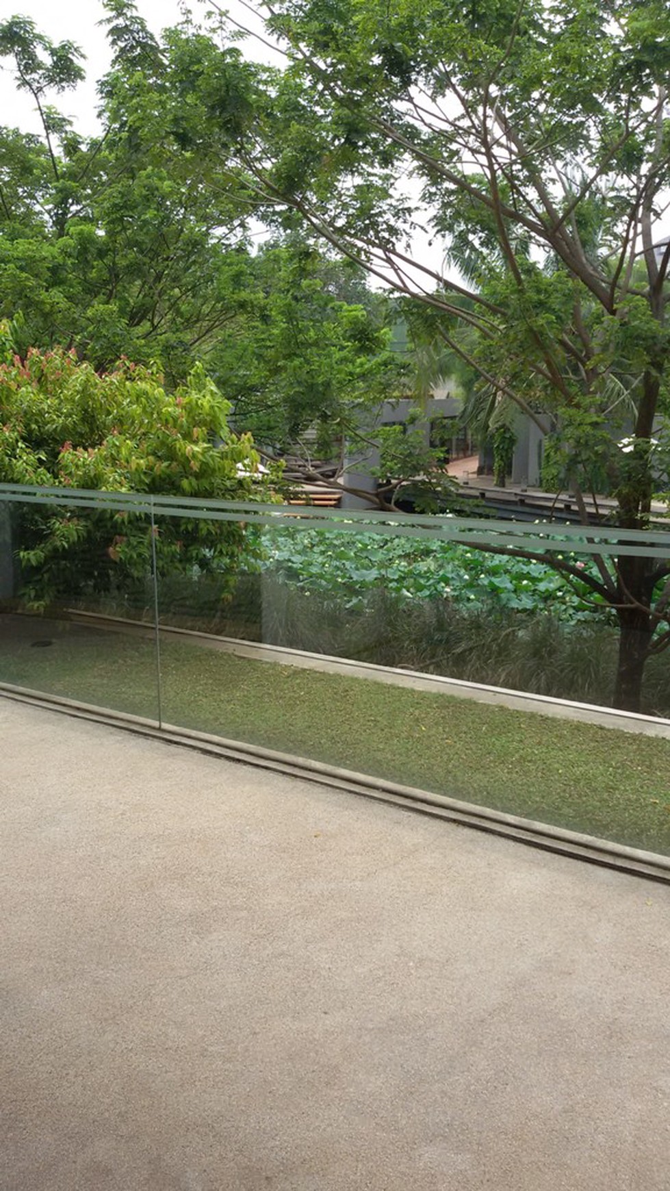 Rumah Pasar Minggu Jakarta selatan $ 5000 dolar !!!